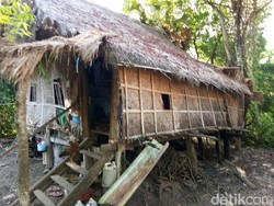 Nenek di Sulsel Hidup di Gubuk Bersama Anaknya yang Gangguan Jiwa