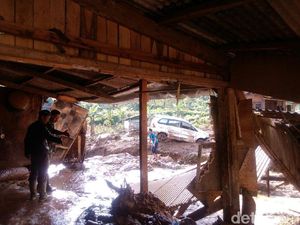 1 Orang Tewas Akibat Banjir Bandang di Bogor