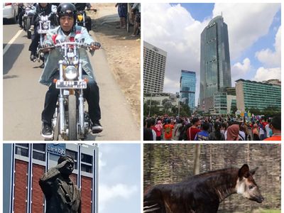 Berita Heboh: Jokowi Touring, Warga Panik di CFD Thamrin