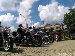 Kulit Bison Paling Oke Buat Bahan Jaket Motor