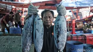 Kondisi Terkini Pelabuhan Ikan Muara Baru yang Bakal Jadi Modern