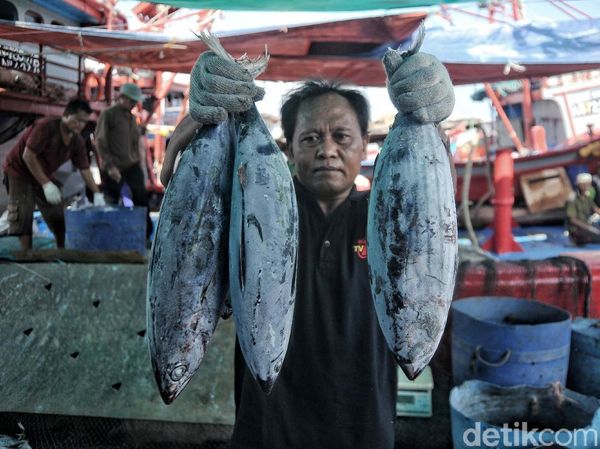 Kondisi Terkini Pelabuhan Ikan Muara Baru yang Bakal Jadi Modern