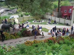 Wisata Lereng Merapi, Bisa Ngapain Saja?