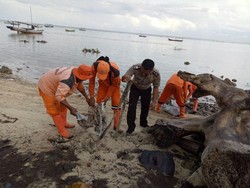 250 Karung Limbah Minyak Mentah Cemari Sekitar Pulau Pari