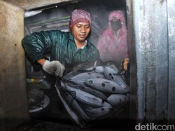 Cerita RI Berhasil Kurangi Impor dengan Ikan Lokal