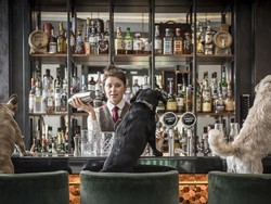 Keren! Bar Ini Sajikan Dogtail yang Bisa Dinikmati Anjing Peliharaan Pengunjung