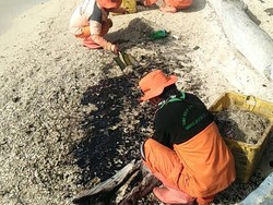 Kagetnya Warga Saat Lihat Minyak Hitam Misterius di Pulau Pari
