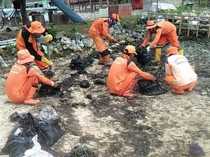 Tumpahan Minyak Misterius di Pulau Pari Sepanjang 10 Meter Tumpahan Minyak Misterius di Pulau Pari Sepanjang 10 Meter