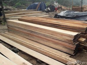 Pengusaha Kayu Keluhkan Sulitnya Ajukan Pinjaman ke Perbankan