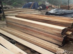 Pengusaha Kayu Keluhkan Sulitnya Ajukan Pinjaman ke Perbankan