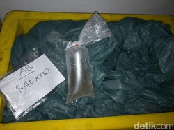 Hendak Diselundupkan, Benih Lobster Senilai Rp 10 Miliar Ditangkap