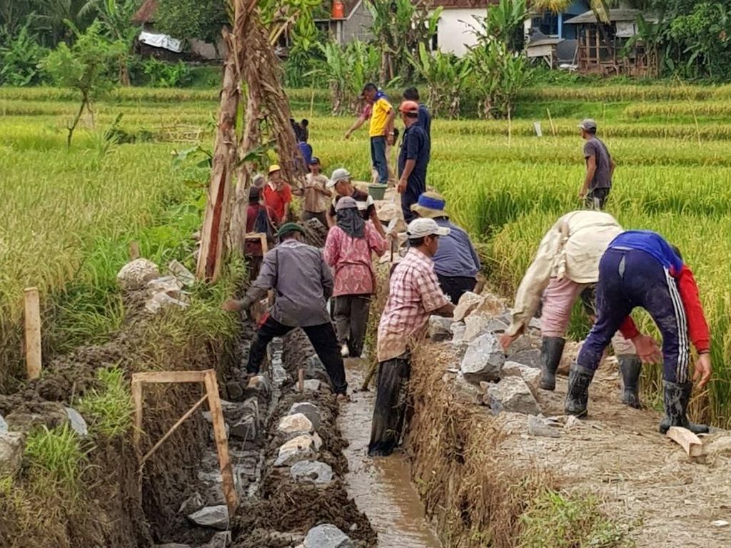 Basuki Serap 605.000 Pekerja dari Program Padat Karya Tunai Basuki Serap 605.000 Pekerja dari Program Padat Karya Tunai