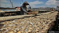 Produksi Ikan Asin di Cilincing Menurun