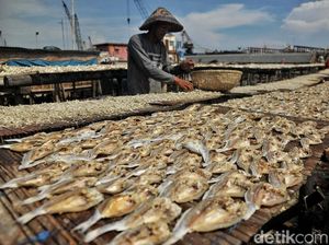 Produksi Ikan Asin di Cilincing Menurun