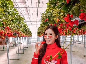 Mengintip Gaya Makan Mewah Jamie Chua, Sosialita Singapura yang Awet Muda