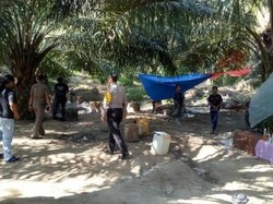 Duh! Anggota DPRD di Aceh Tertangkap Judi Sabung Ayam