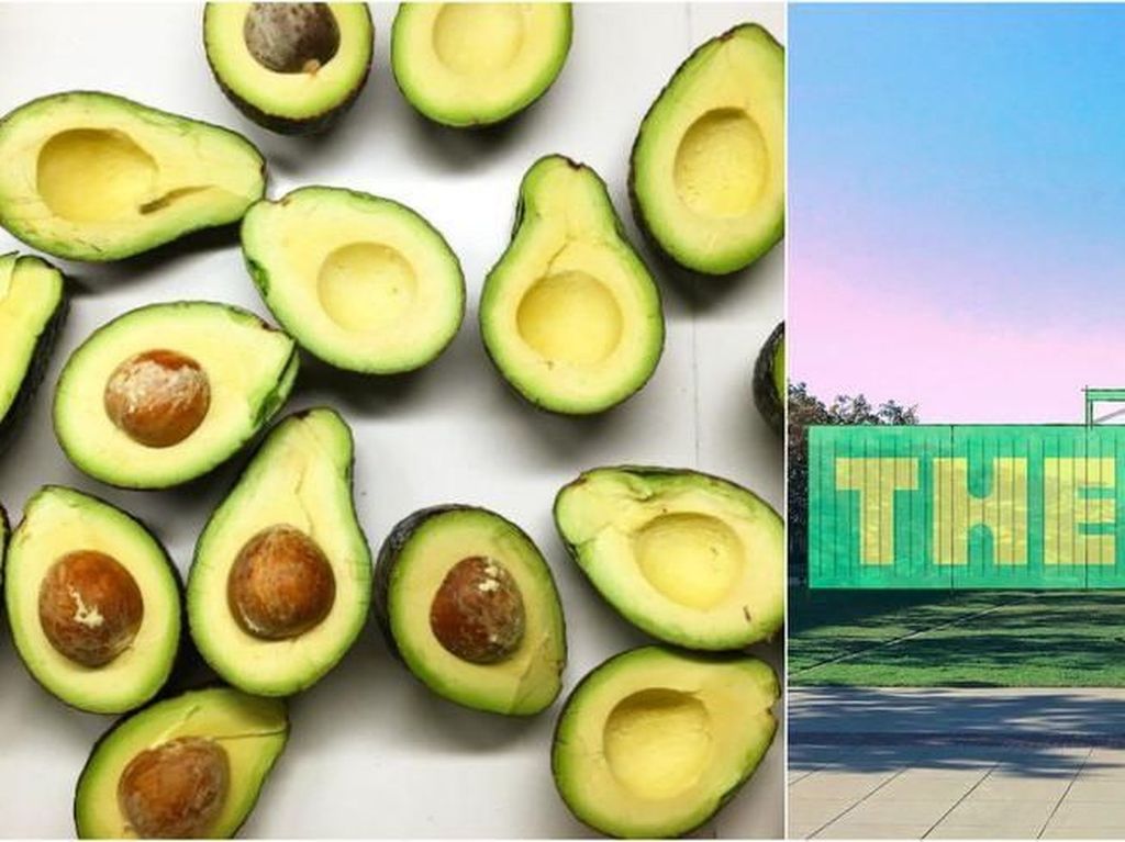 Setelah Es Krim, Kini Segera Hadir Museum Alpukat yang Hits di California Setelah Es Krim, Kini Segera Hadir Museum Alpukat yang Hits di California