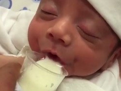 Tentang Metode Cup-Feeding dalam Memberikan ASI untuk Bayi