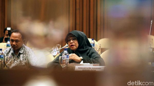 Pedagang Bawang Putih Mengadu ke DPR