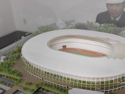 Olympiade Tokyo 2020 Dituding Percepat Deforestasi di Indonesia