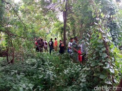 Buaya Lepas di Sukoharjo, Polisi Imbau Warga Tak Dekati Sungai