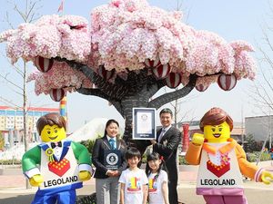Cuma di Jepang, Ada Pohon Sakura dari Lego