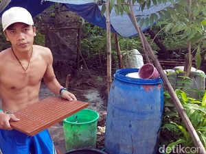 Badan Terlihat Atletis Saat Colek Jokowi, Ini Resep Bona Badan Terlihat Atletis Saat Colek Jokowi, Ini Resep Bona
