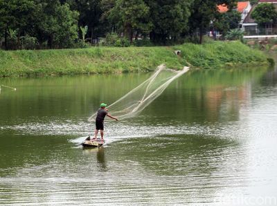 Berita Harian  Ikan 