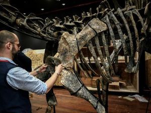 2 Fosil Dinosaurus Dilelang di Paris, Siapa Tertarik Membeli?