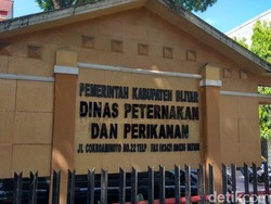 Tujuh Sapi Warga Mati Mendadak, Ini Kata Dinkes Blitar