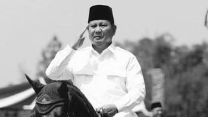 dStrip: Ketika Prabowo Diragukan