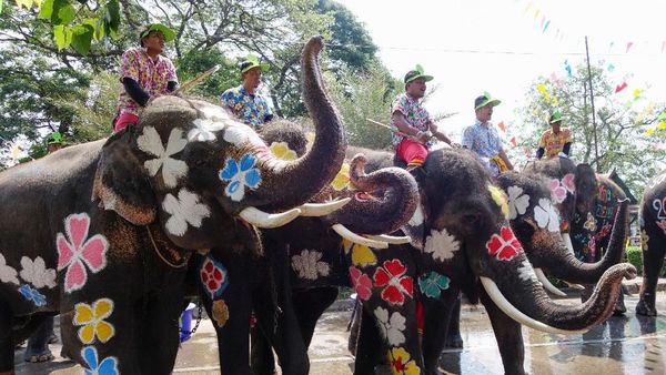 Unik! Tubuh Gajah Dilukis Warna-warni Saat Festival Air di Thailand