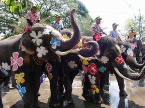 Unik! Tubuh Gajah Dilukis Warna-warni Saat Festival Air di Thailand
