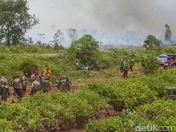 Hutan Terbakar, Izin Terbang 3 Heli BNPB Belum Keluar dari Pemerintah