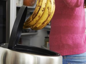 Mengenal Gaya Hidup Freegan, Hemat dengan Cari Makan dari Tempat Sampah