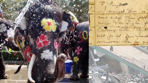 Riuh Dunia dalam Gambar: Gajah Didandani, Bangku Khusus Zuckerberg
