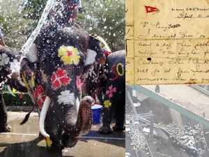 Riuh Dunia dalam Gambar: Gajah Didandani, Bangku Khusus Zuckerberg