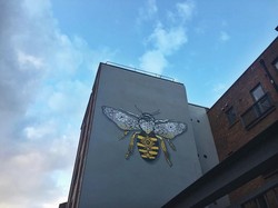 Ada yang Tahu Lambang Hewan Kota Manchester?