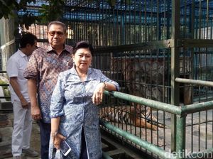Ini Rahasia Pernikahan Awet SBY & Bu Ani, Kamu Juga Bisa Tiru Ini Rahasia Pernikahan Awet SBY & Bu Ani, Kamu Juga Bisa Tiru