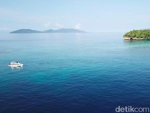 Mengenal Liveaboard Raja Ampat, Cara Jelajah Terbaik