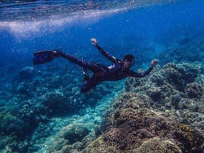 Foto: Gaya Aktor Jefri Nichol Saat Diving