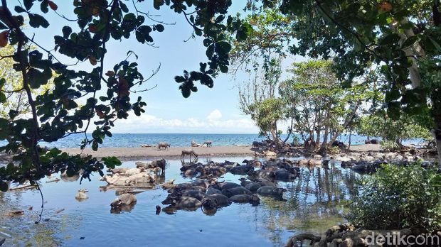 Suasana pantai (Faruk Nickyrawi/detikTravel)