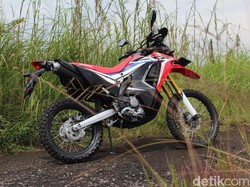 Mulai Rp 3 Jutaan/Bulan, Ini Skema Cicilan dan Harga Honda CRF250 Rally