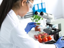 Cara Mencari Jurnal Internasional, Beserta Rekomendasi Situsnya