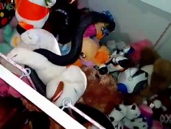 Ngeri! Ada Ular Berbisa Sembunyi di Balik Mainan Anak