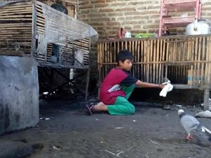 Rawat Nenek Buyut yang Sakit, Sekolah Bocah Ini Terganggu