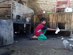 Rawat Nenek Buyut yang Sakit, Sekolah Bocah Ini Terganggu