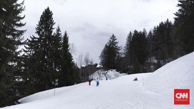 Meluncur di Pegunungan Alpen
