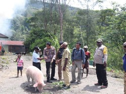 Ritual Bakar Batu di Tengah Kampung yang Diduduki KKB Papua