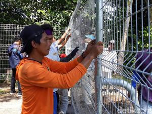 Baru Dipasang 2 Hari, Pagar Bandara Kulon Progo Ditemukan Rusak Baru Dipasang 2 Hari, Pagar Bandara Kulon Progo Ditemukan Rusak